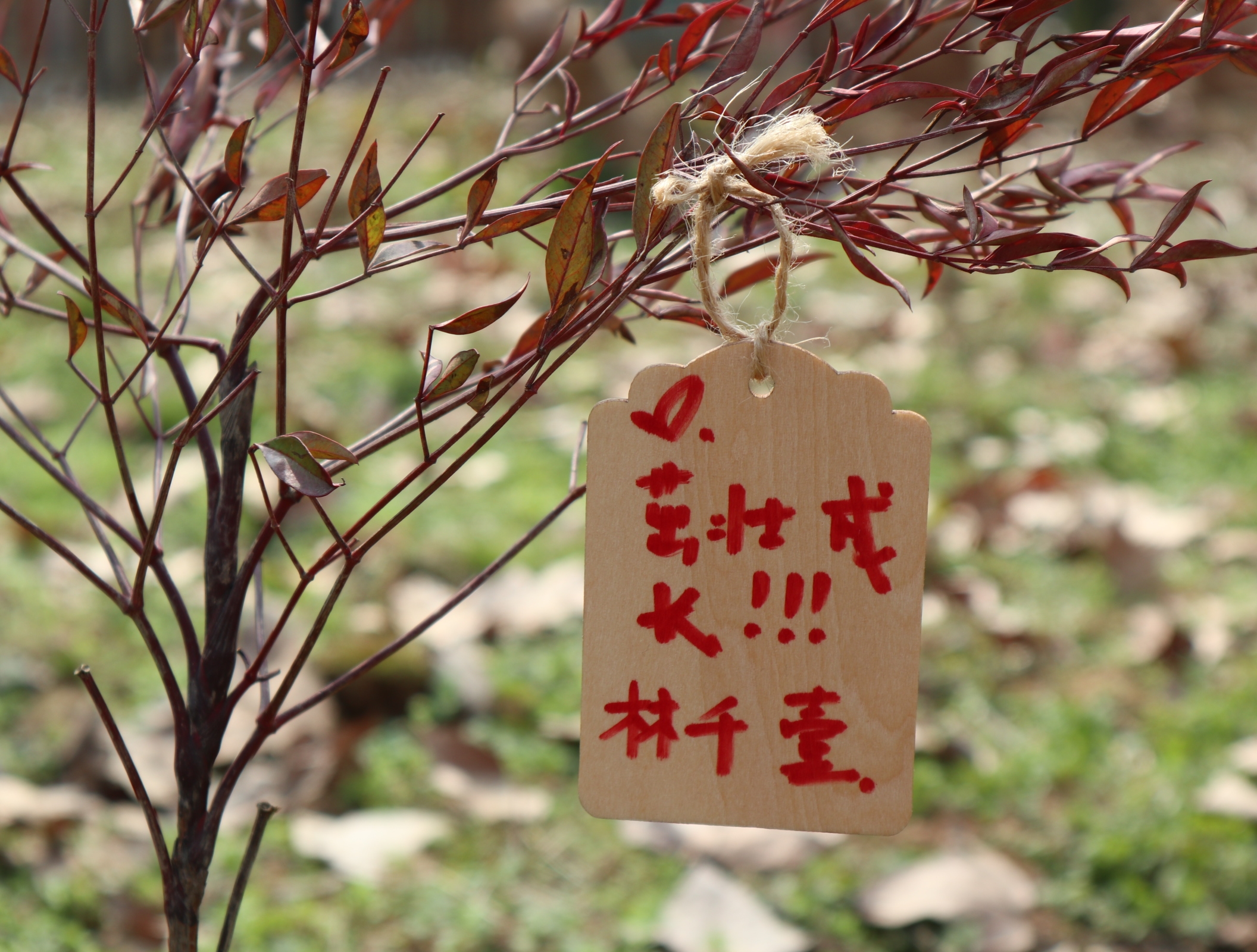 武汉汉阳早教中心