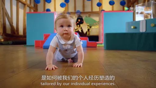 NYC纽约国际房山早教中心：两岁宝宝的内心戏堪比宫斗剧！BBC纪录片颠覆固有认知