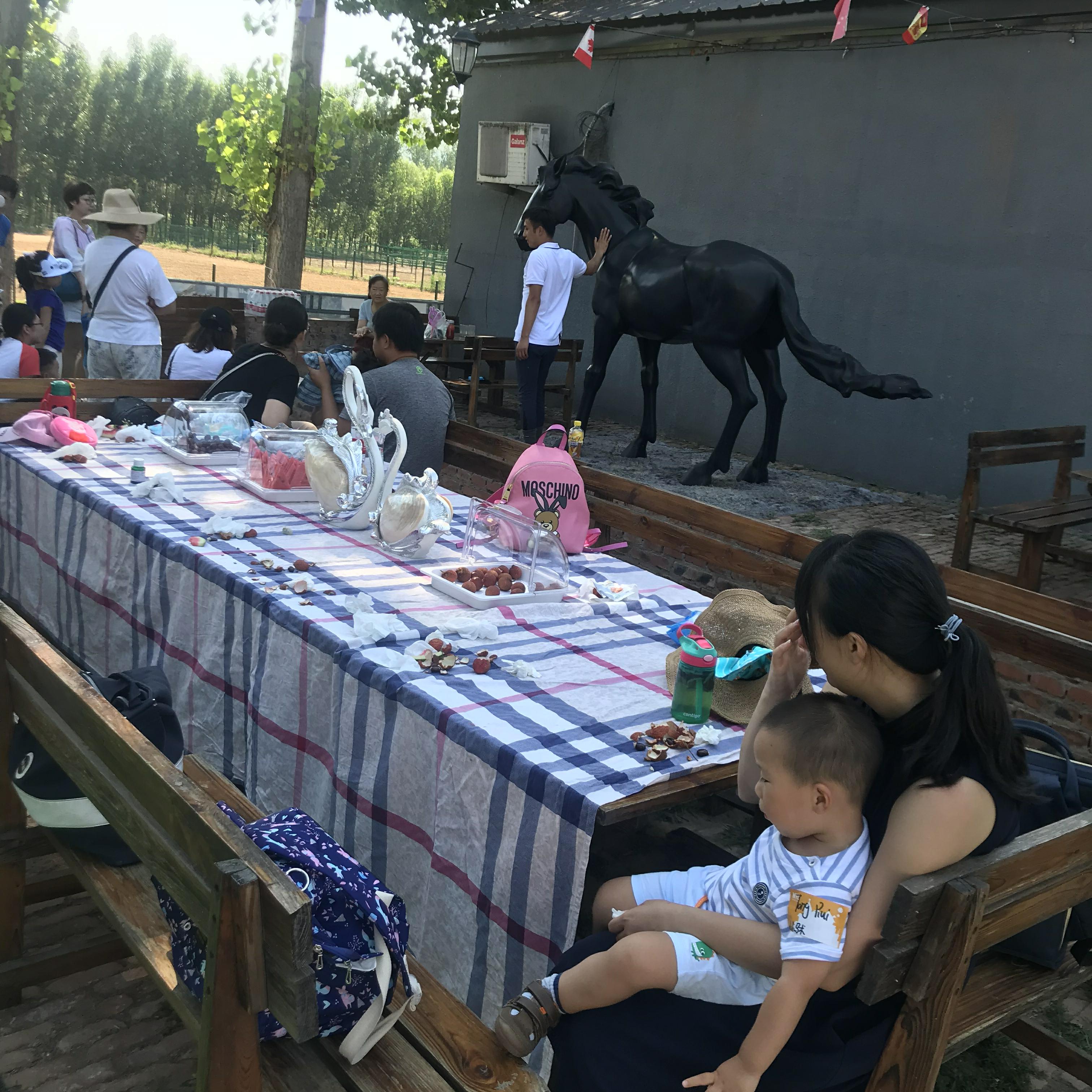 NYC纽约国际儿童俱乐部平谷早教中心：火爆活动之《小小马术师》活动回顾