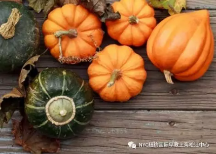 NYC,纽约国际,上海早教,课程预告