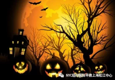 NYC,纽约国际,上海早教,课程预告
