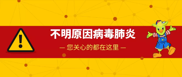 NYC，纽约国际，上海早教，上海松江早教中心，荐读| 不明原因病毒性肺炎，宝妈最关心的几大问题都在这！