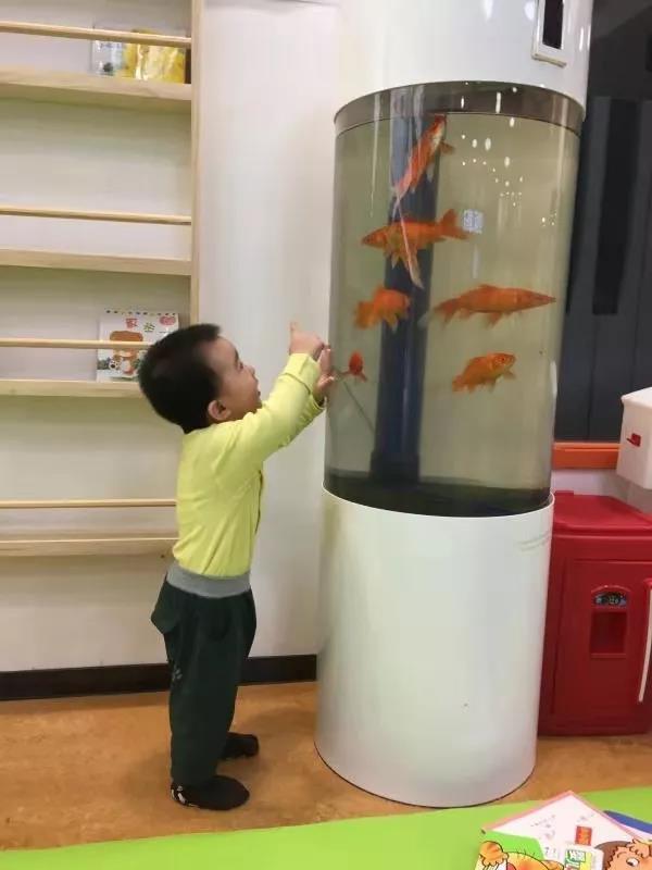 西安早教