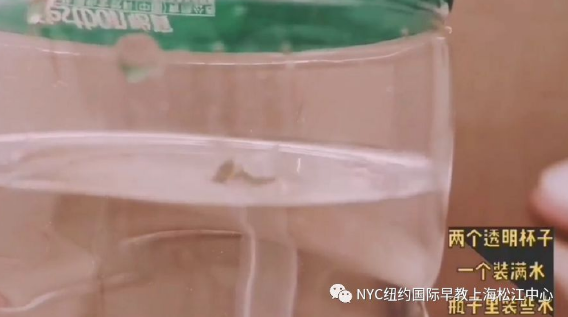 NYC,纽约国际,上海早教,上海松江中心,早教中心